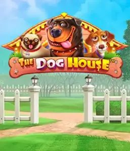 Pragmatic Play's The Dog House adventure, bringing you an adorable experience among playful pups. Engage in gameplay elements such as sticky wilds, perfect for providing exciting wins. Perfect for those who enjoy a cheerful theme alongside lucrative rewards.