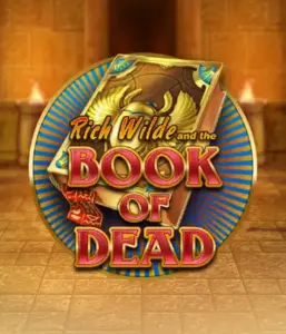 Embark on the thrilling world of Book of Dead Slot by Play'n GO, showcasing vivid graphics of Rich Wilde's journey through ancient Egyptian tombs and artifacts. Find lost riches with engaging mechanics like free spins, expanding icons, and a gamble option. Ideal for those seeking adventure with a desire for unearthing secrets.